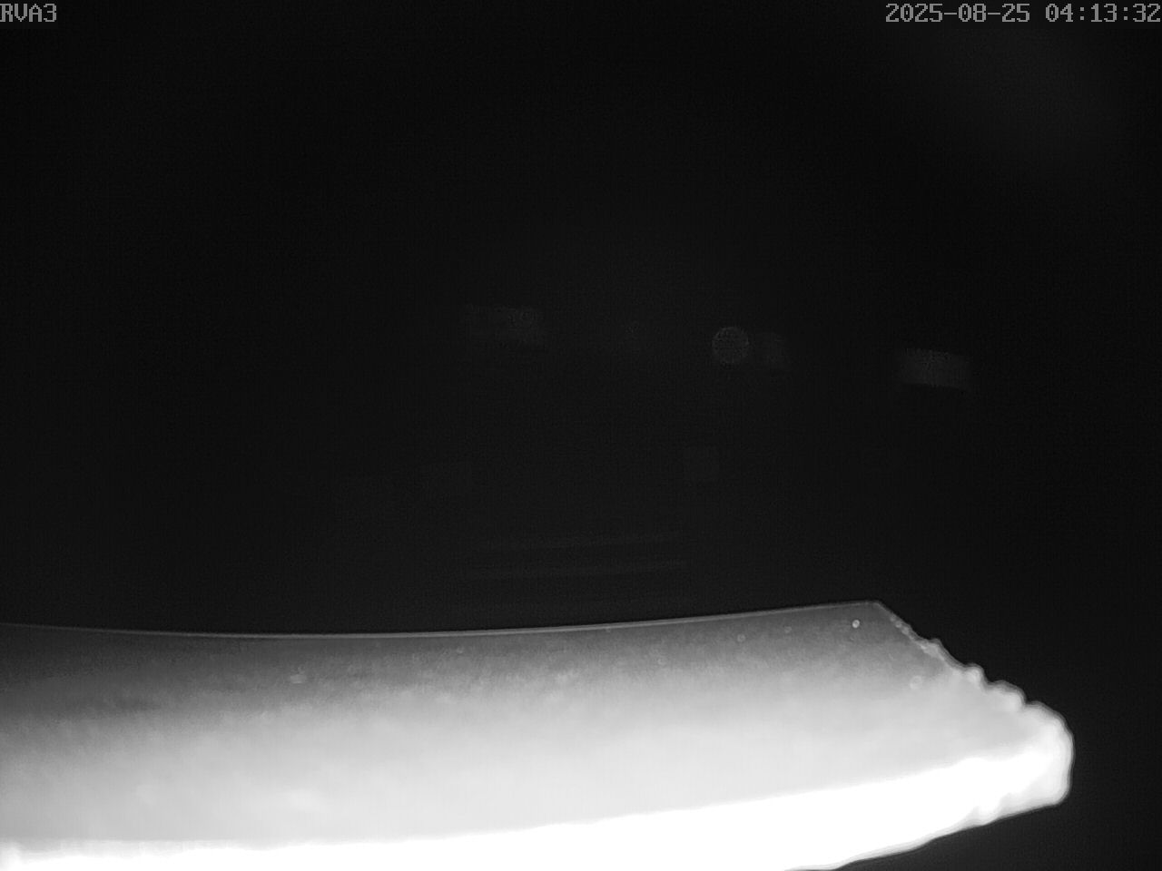 Webcam rva3